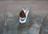 hood-ornament