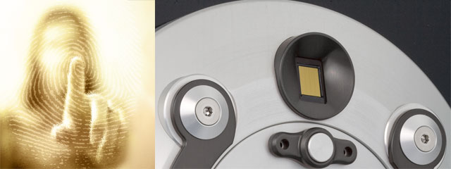 About Brown Safe