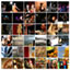 Image Gallery