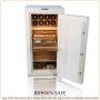 Custom-Safe-Gem-4018-Custom-Safe-Open