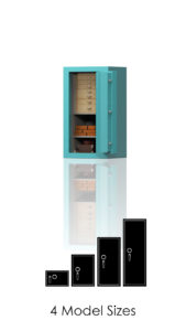Gem Jewelry Safes Home
