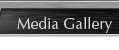 Media Gallery