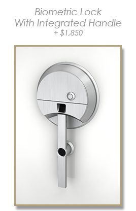 Biometric Lock - with integrated handle