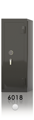 estate safe 6018