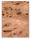 material swatch of mappa burl hardwood